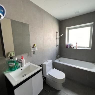 25 White Waters - Toilet Renovation