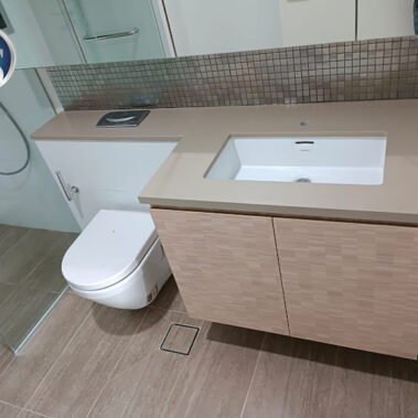 The Minton - Master Toilet Renovation